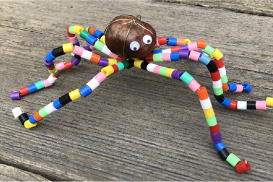 Creatieve kindercursus ‘De creatieve spinnen!’ (2de en 3de kleuterklas)